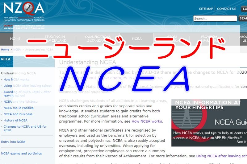 ニュージーランド高校留学NCEAの勉強。